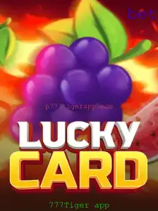 Descubra o Estimulante Jogo LuckyCard no 777Tiger App